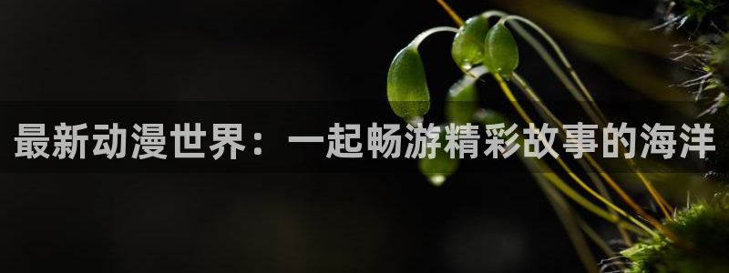 里番动漫在线观看免费完整视频